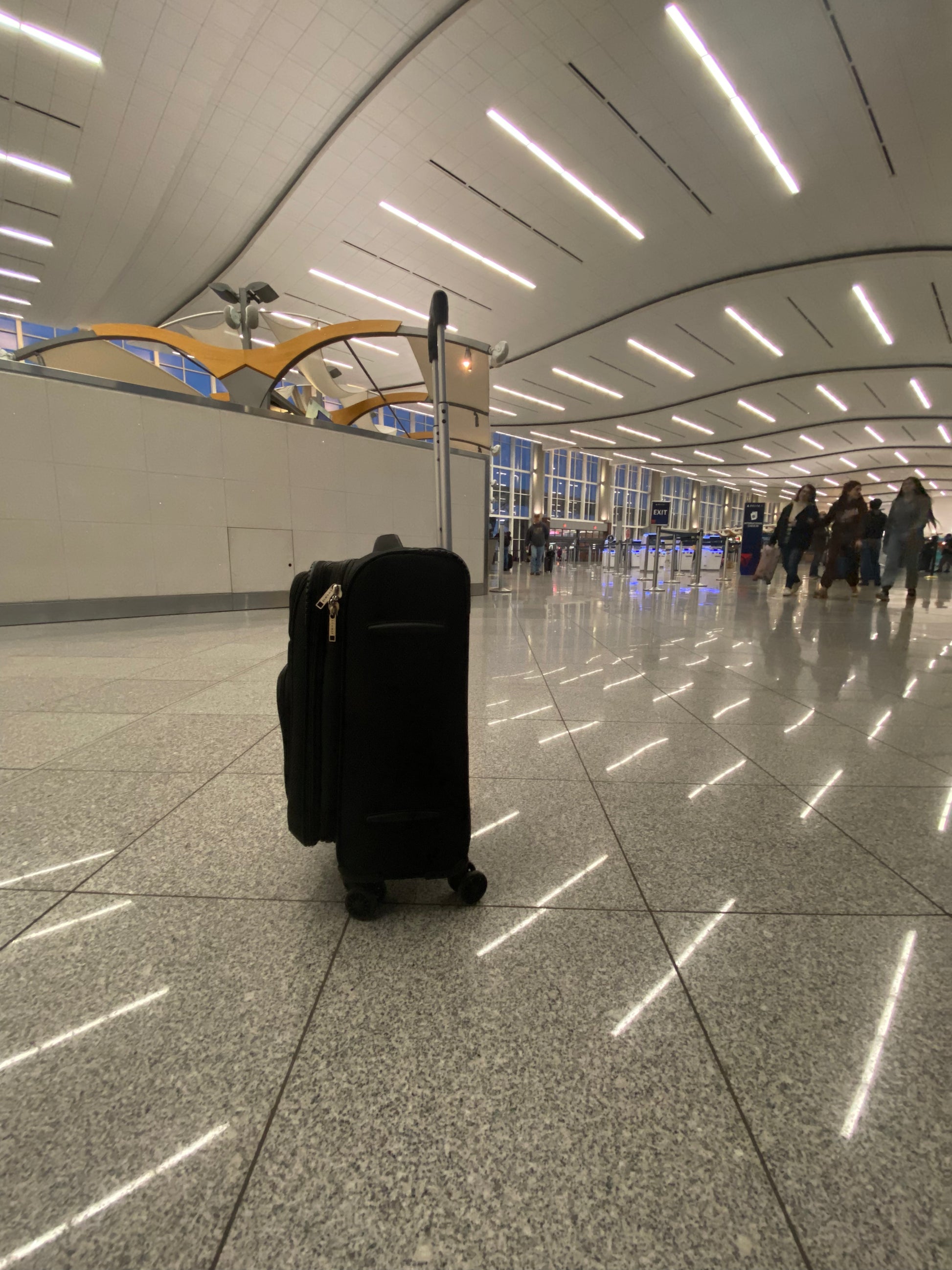 Loomis Expandable Lightweight Black Carry-On Spinner Luggage - 20 inch. Best Carryon and check in luggage with wheels. Best suitcase with wheels. Black carryon luggage. Black Checkin luggage 25 inch. Affordable durable luggage