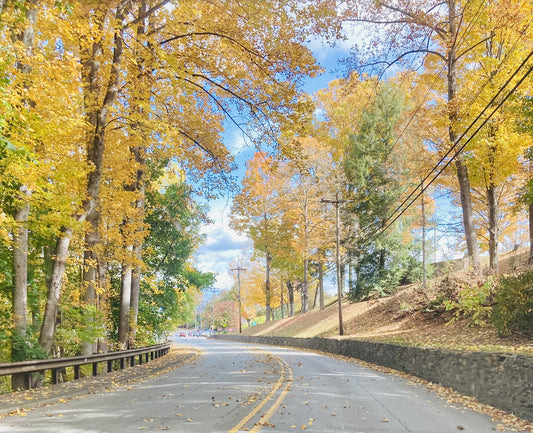 A Guide to Visiting Asheville, North Carolina